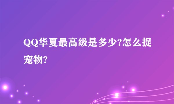 QQ华夏最高级是多少?怎么捉宠物?