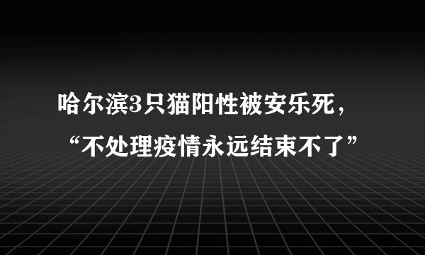 哈尔滨3只猫阳性被安乐死,“不处理疫情永远结束不了”