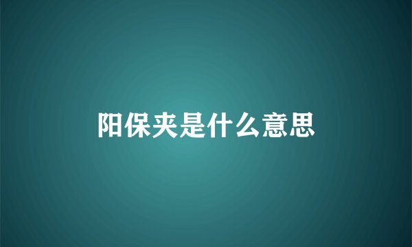 阳保夹是什么意思