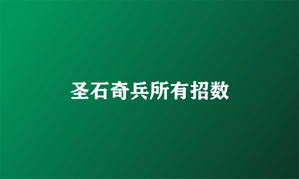 圣石奇兵所有招数