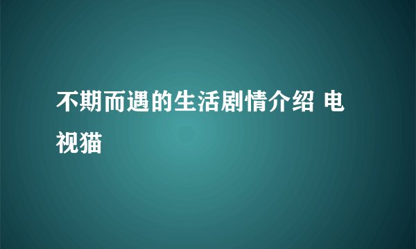 不期而遇的生活剧情介绍 电视猫