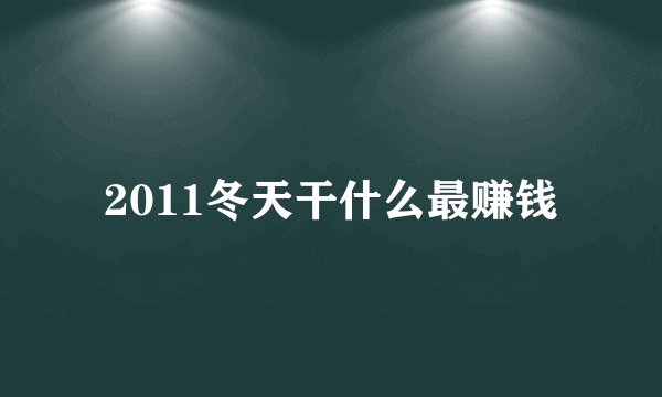 2011冬天干什么最赚钱