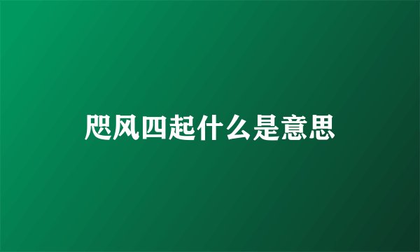 咫风四起什么是意思