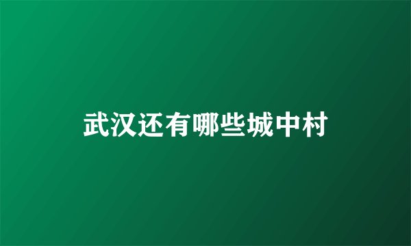 武汉还有哪些城中村