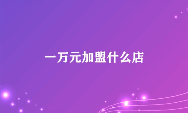 一万元加盟什么店