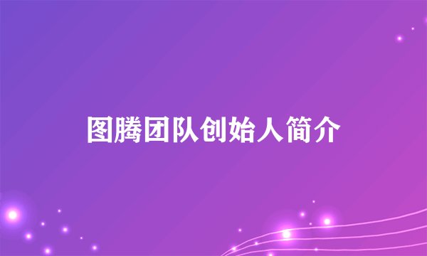 图腾团队创始人简介