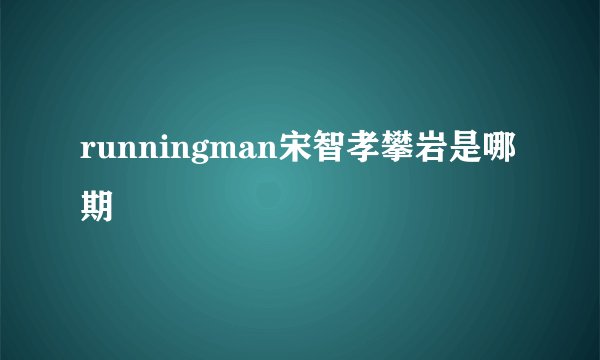 runningman宋智孝攀岩是哪期