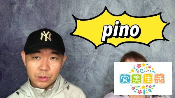 Pino是什么意思