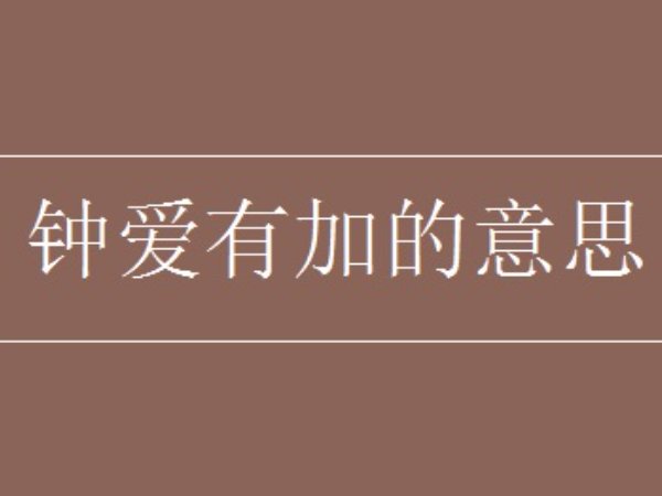 钟爱有加意思