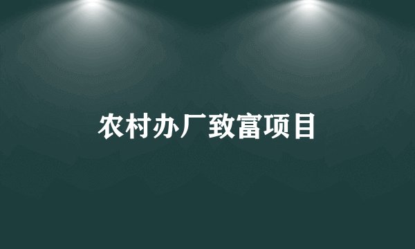 农村办厂致富项目