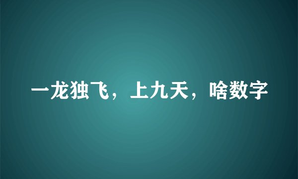 一龙独飞，上九天，啥数字