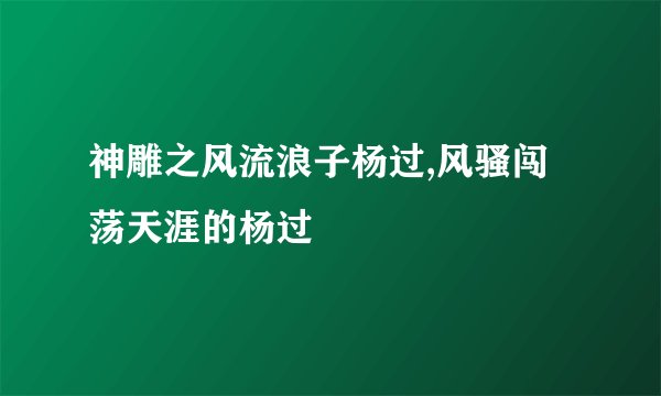 神雕之风流浪子杨过,风骚闯荡天涯的杨过