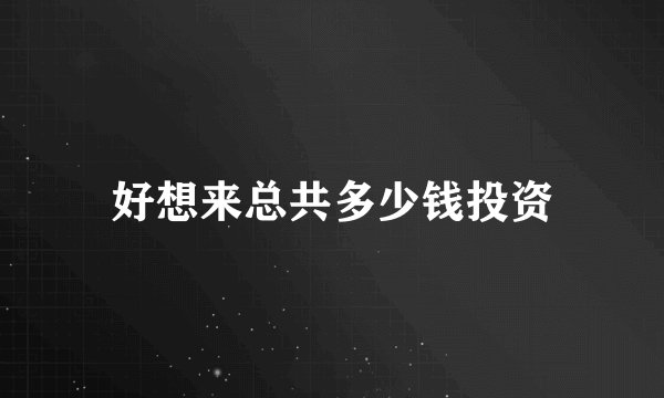 好想来总共多少钱投资