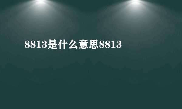 8813是什么意思8813