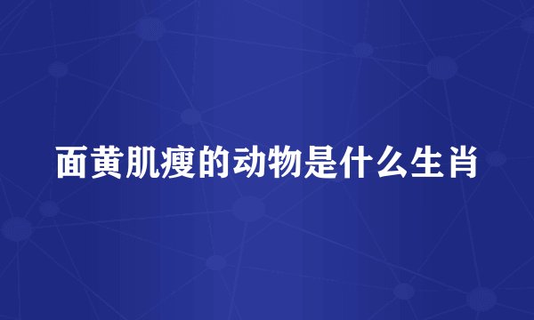 面黄肌瘦的动物是什么生肖