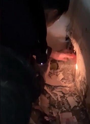 老鼠盗窃1800多元现金建“豪宅” 这是咋情况?