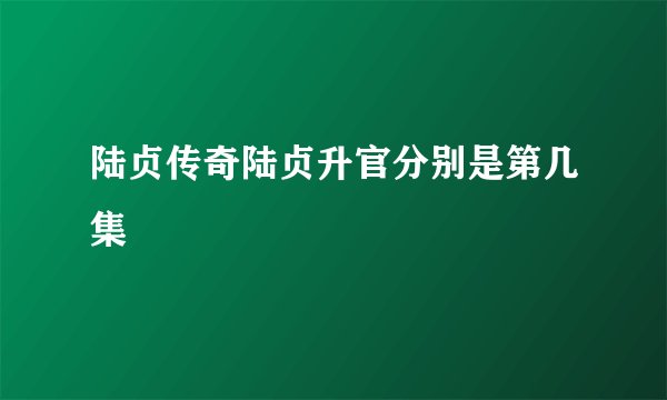 陆贞传奇陆贞升官分别是第几集