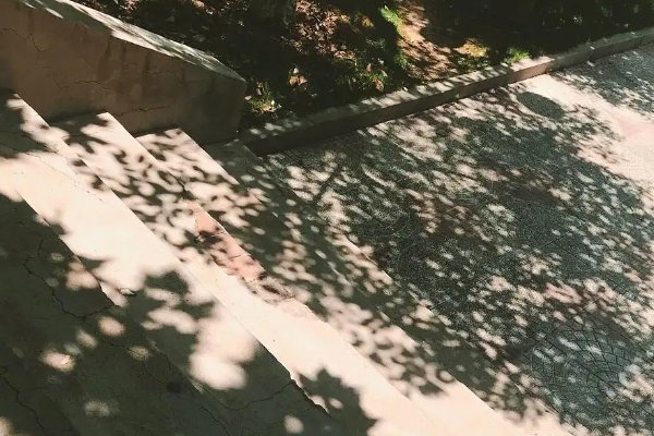 树影斑驳是什么意思
