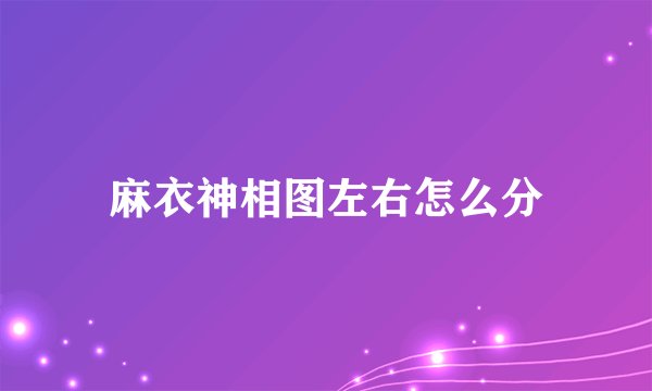 麻衣神相图左右怎么分