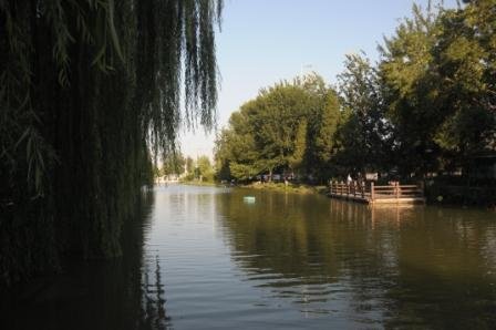 男子坠入北京护城河有可疑吗?