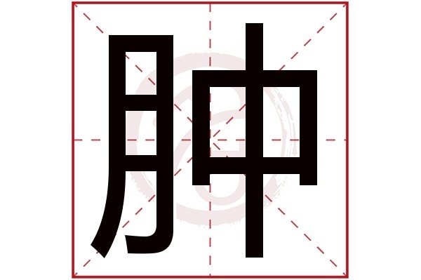 肿的组词和部首