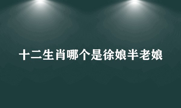 十二生肖哪个是徐娘半老娘