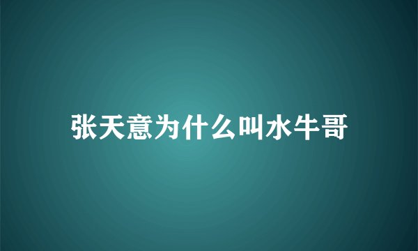 张天意为什么叫水牛哥