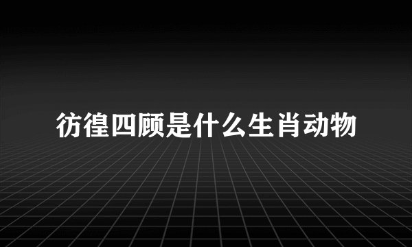 彷徨四顾是什么生肖动物