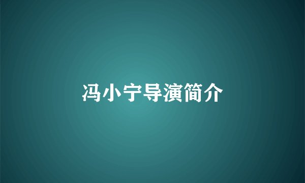 冯小宁导演简介