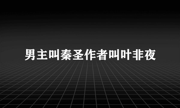 男主叫秦圣作者叫叶非夜