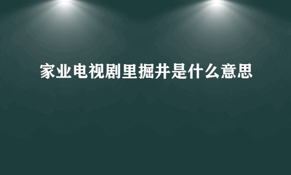 家业电视剧里掘井是什么意思