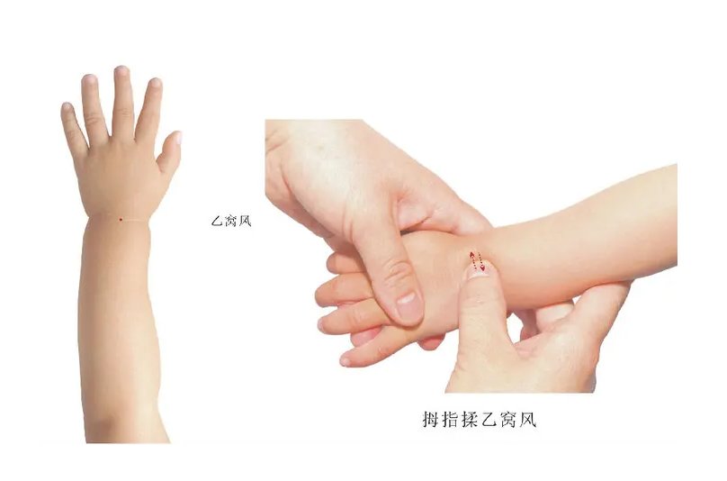 合阴阳十动十节详解