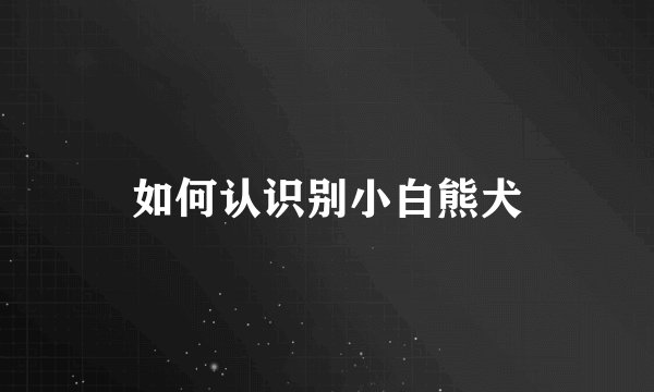 如何认识别小白熊犬