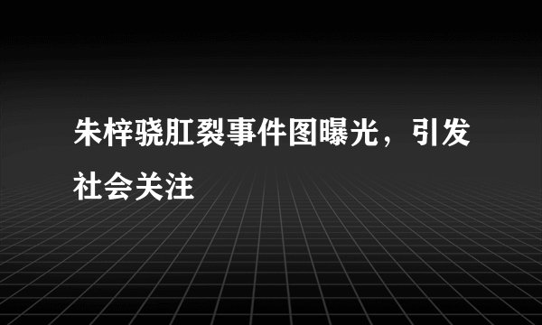 朱梓骁肛裂事件图曝光，引发社会关注