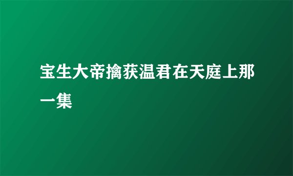宝生大帝擒获温君在天庭上那一集