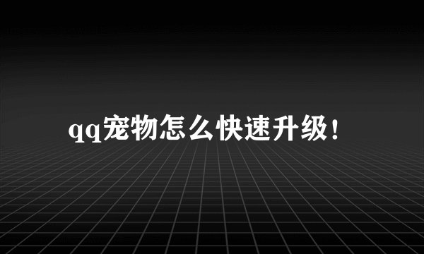 qq宠物怎么快速升级!