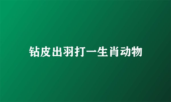 钻皮出羽打一生肖动物