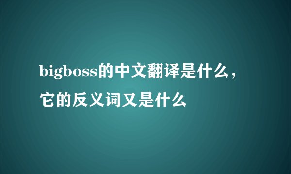 bigboss的中文翻译是什么，它的反义词又是什么
