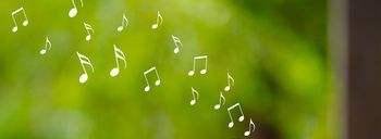 怎么找歌曲链接