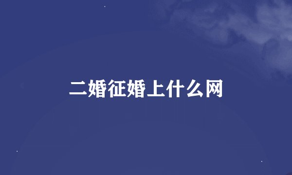 二婚征婚上什么网