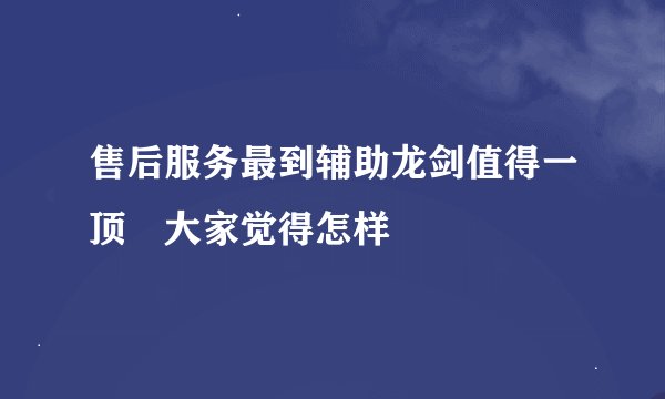 售后服务最到辅助龙剑值得一顶 大家觉得怎样