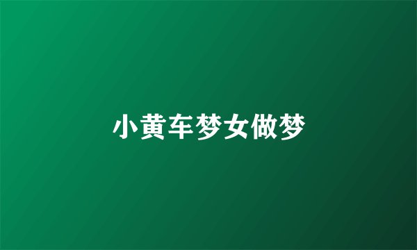 小黄车梦女做梦