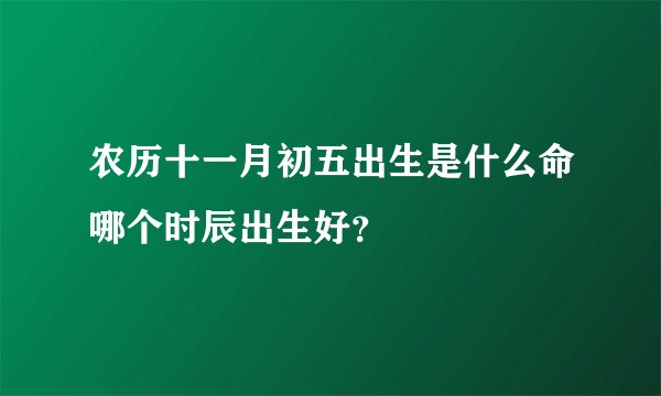 农历十一月初五出生是什么命哪个时辰出生好？