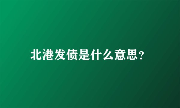 北港发债是什么意思？
