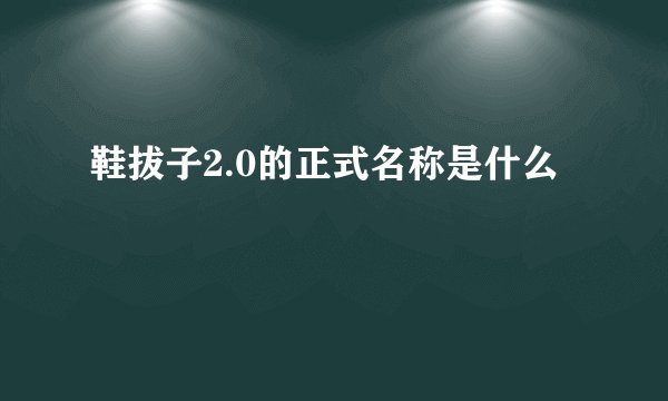 鞋拔子2.0的正式名称是什么