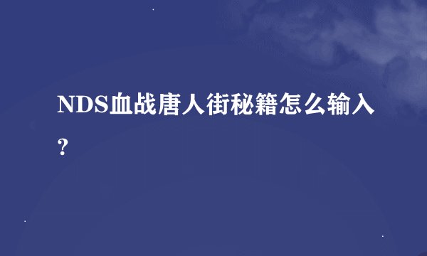 NDS血战唐人街秘籍怎么输入?