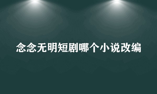 念念无明短剧哪个小说改编