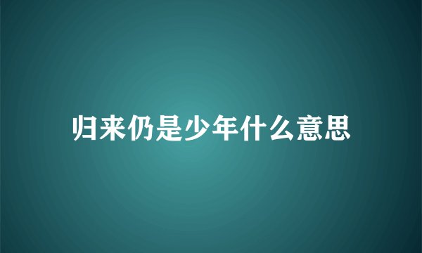 归来仍是少年什么意思