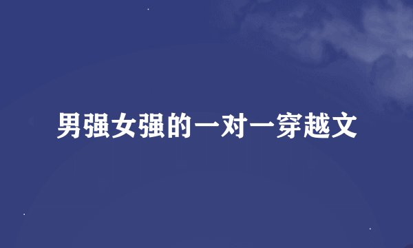 男强女强的一对一穿越文