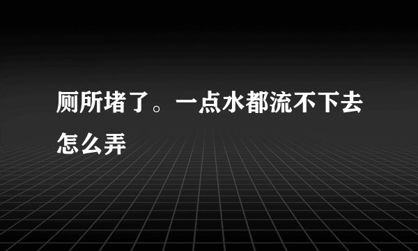 厕所堵了。一点水都流不下去怎么弄